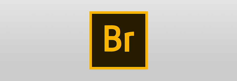 adobe bridge logo