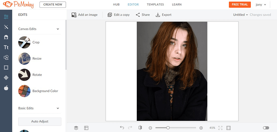 picmonkey user-friendly interface