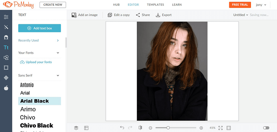 picmonkey text editor