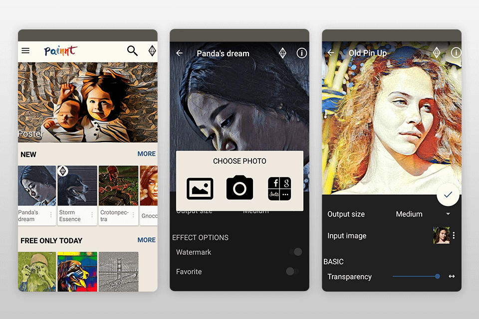 painnt image cartoonizer interface