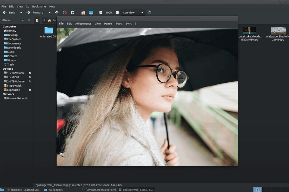 nomacs windows photo viewer alternative