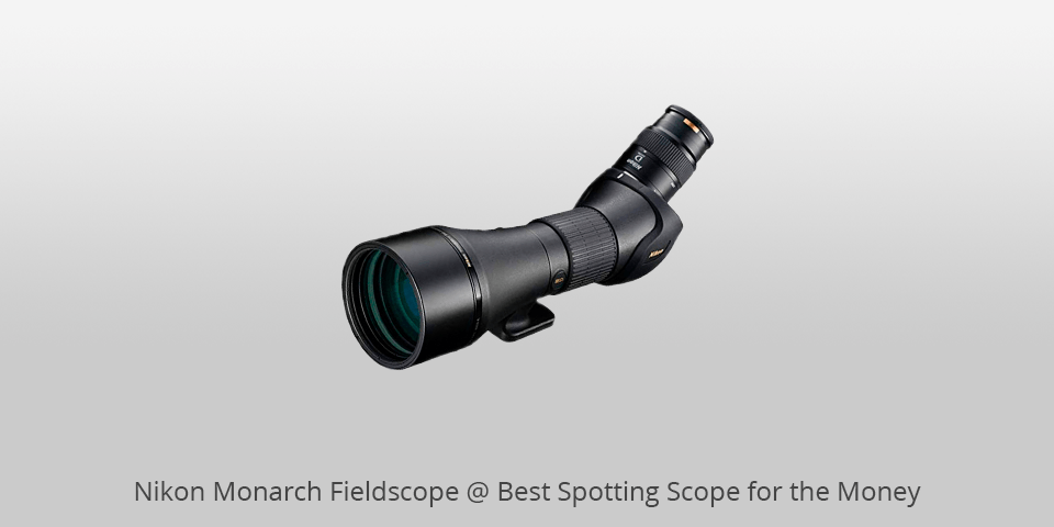 spotting scope for the money nikon monarch
