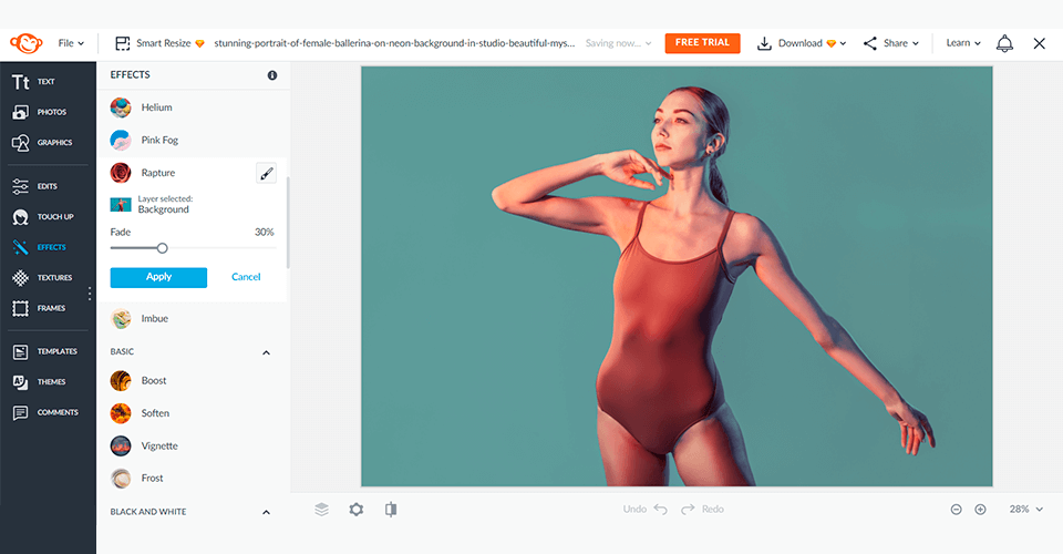picmonkey pixlr alternative interface