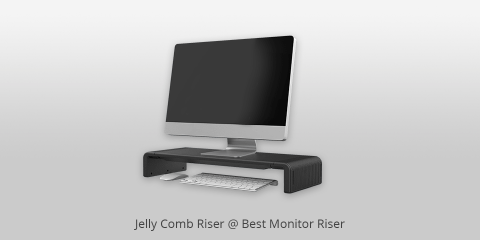 monitor riser