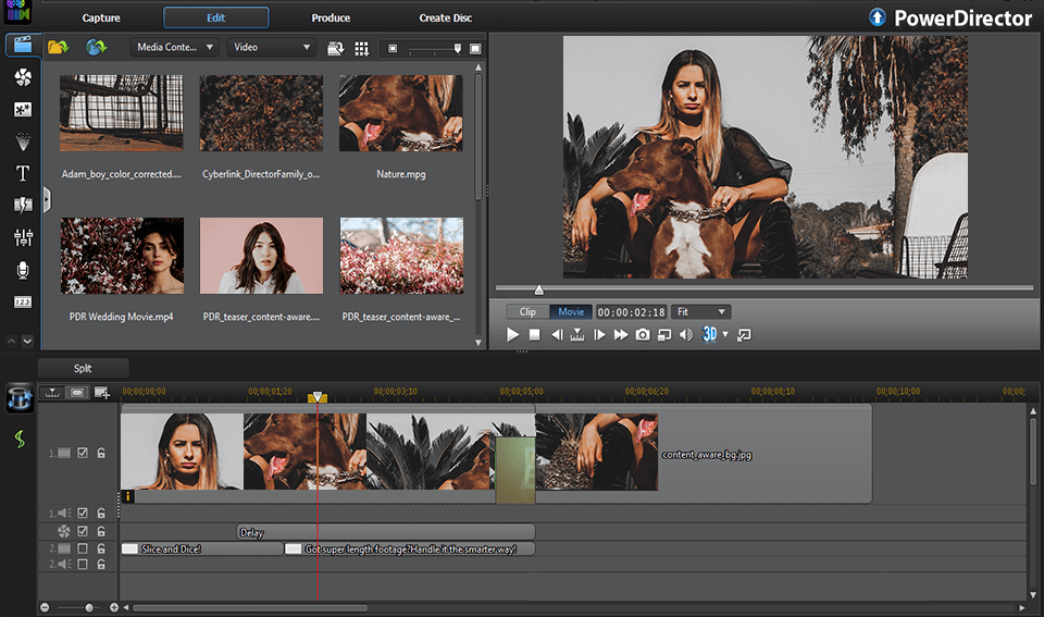 cyberlink powerdirector 11 interface
