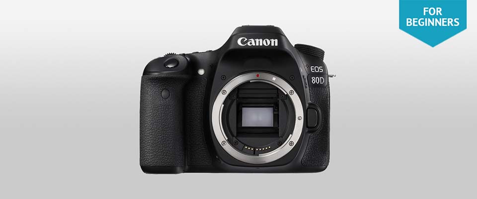 dslr camera canon