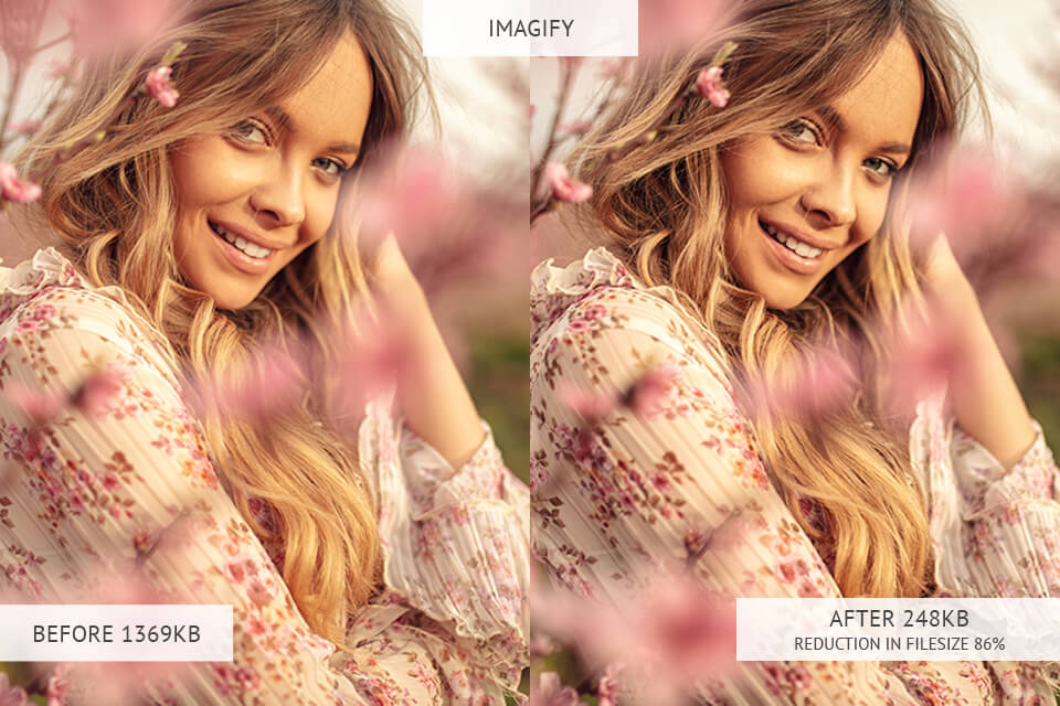 Imagify image optimizer results