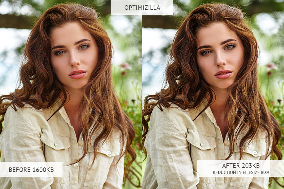 optimizilla image optimizer results