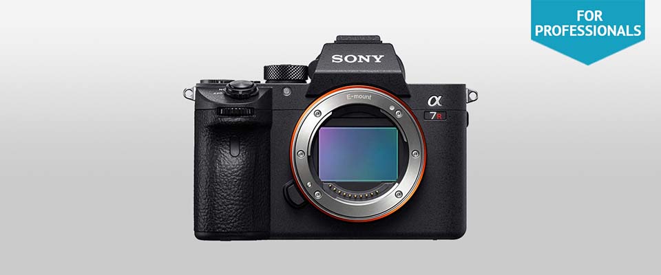 mirrorless camera sony