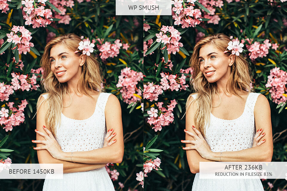 WP Smush image optimizer results
