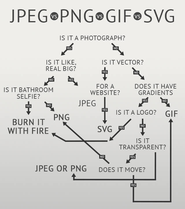 Image File Formats: When to Use Each File Type