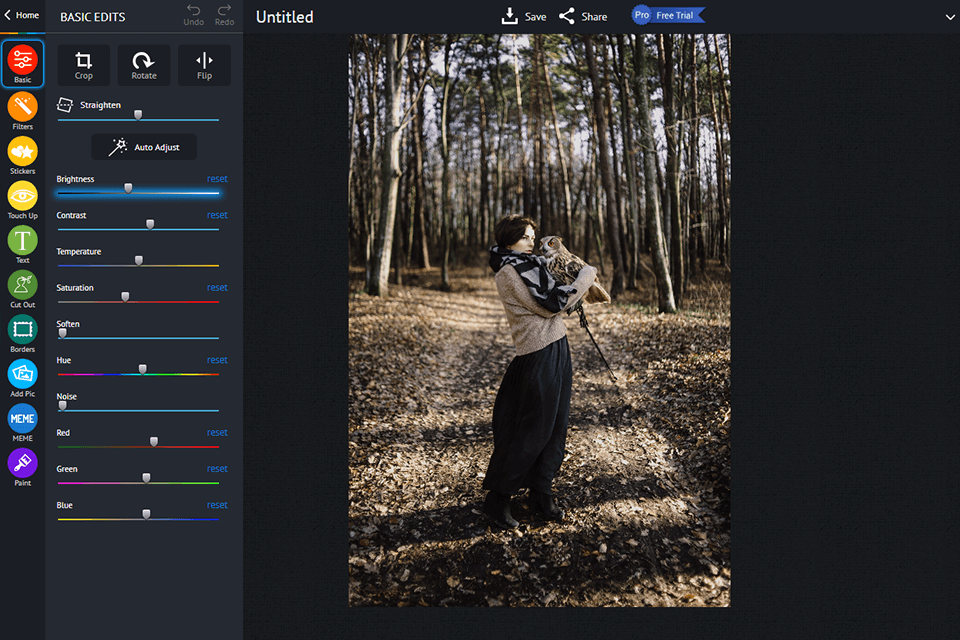pizap free interface