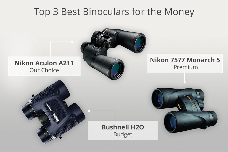 best binoculars for the price