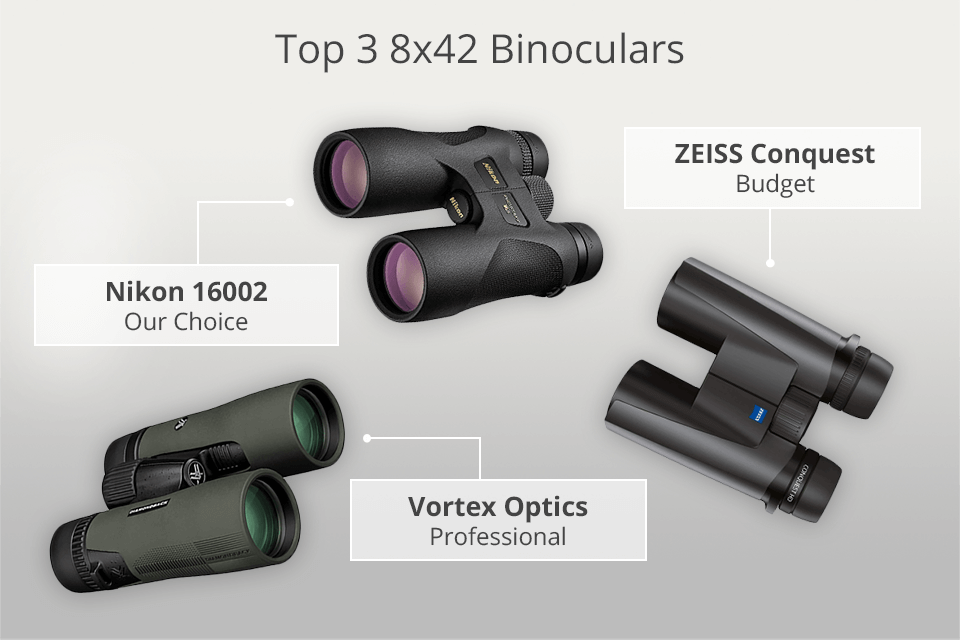 top 8x42 binoculars
