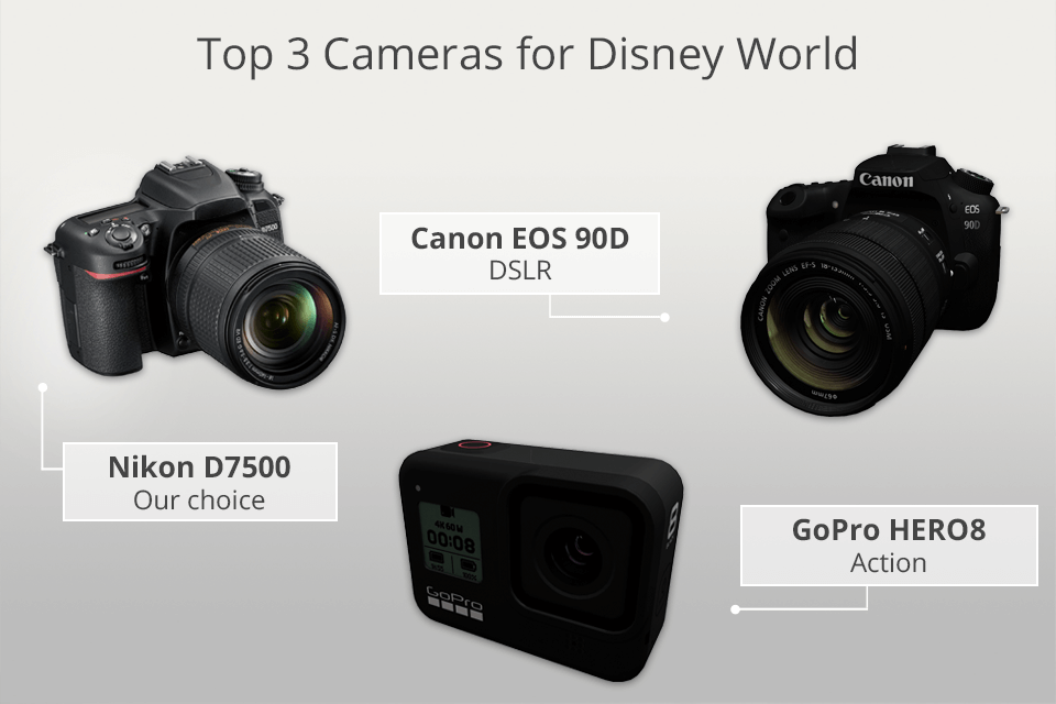 best camera for disney world