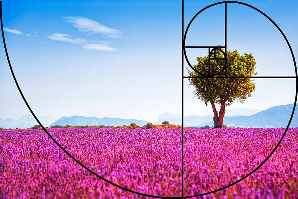 golden ratio photography composition principle