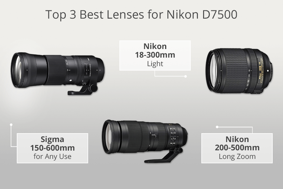best lenses for nikon d7500