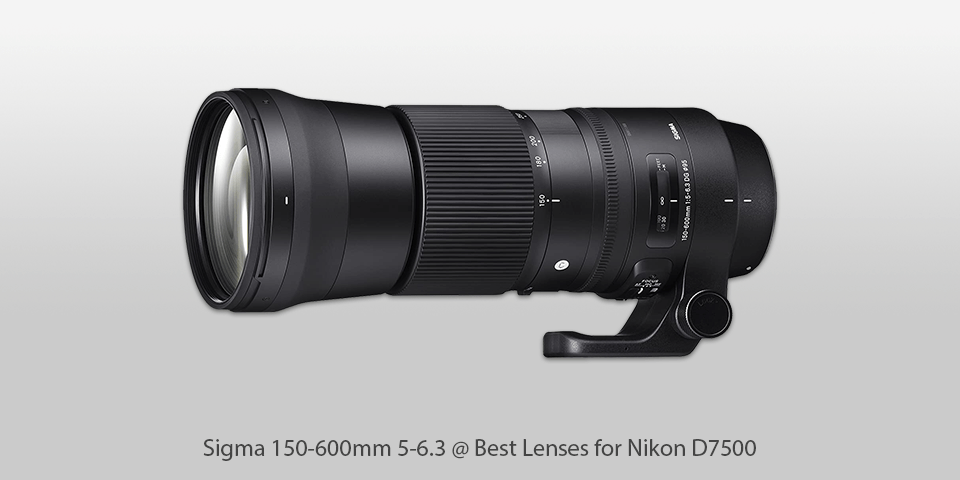 Sigma 150-600mm 5-6.3 lenses for nikon d7500