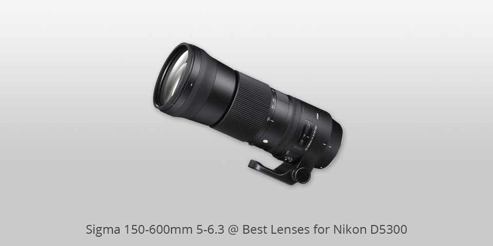 contemporary lens for nikon d5300