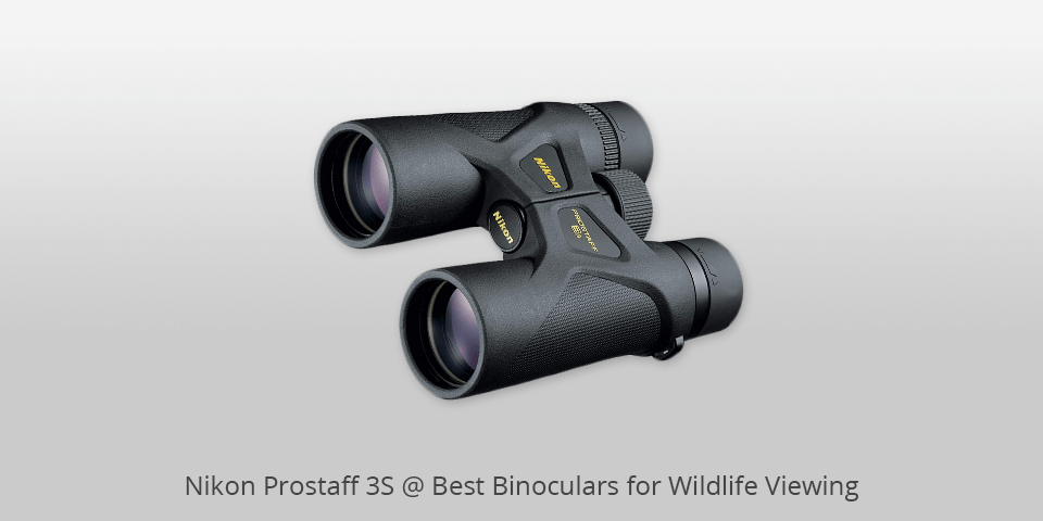 nikon prostaff 3s binoculars for wildlife viewing