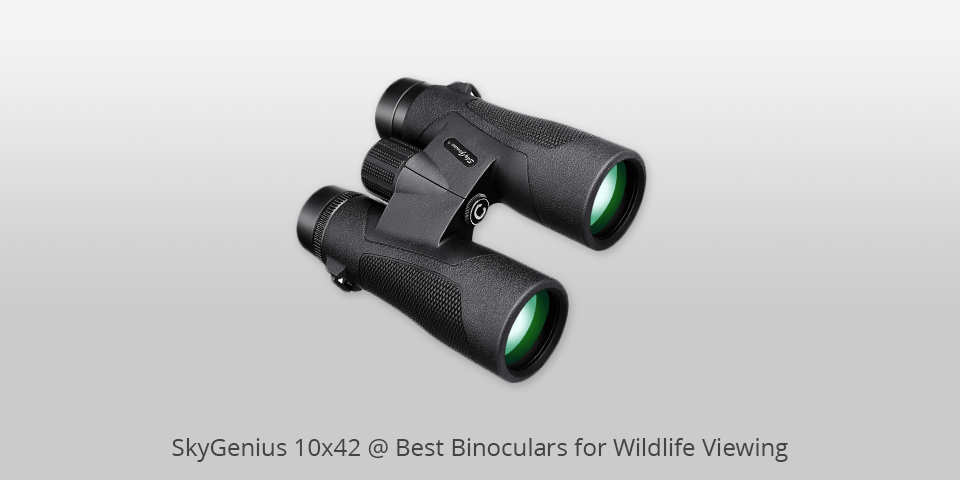 skygenius 10x42 binoculars for wildlife viewing