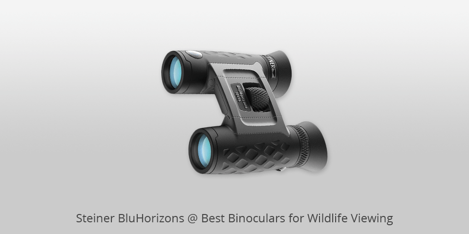 steiner bluhorizons binoculars for wildlife viewing
