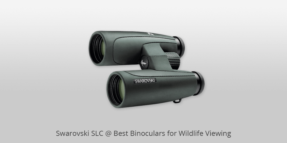 swarovski slc binoculars for wildlife viewing