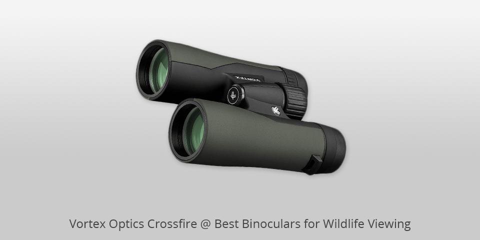 vortex optics crossfire binoculars for wildlife viewing