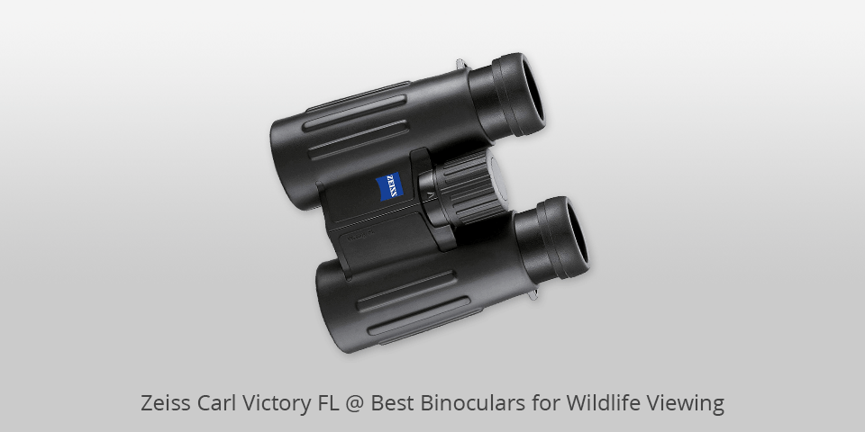 zeiss carl victory fl binoculars for wildlife viewing