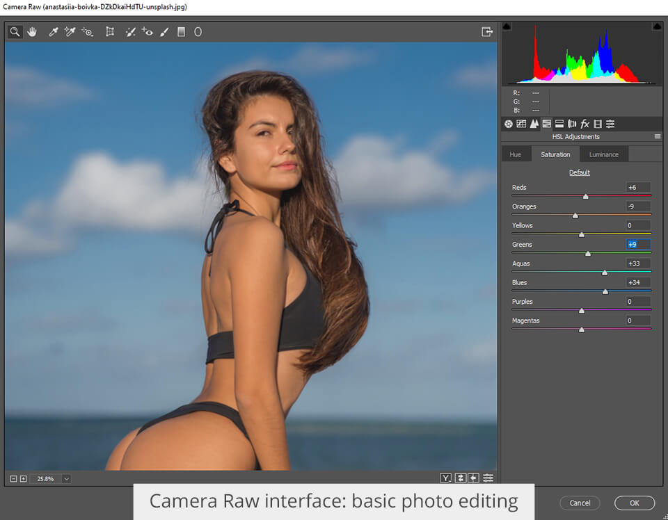 camera raw basic photo editing interface