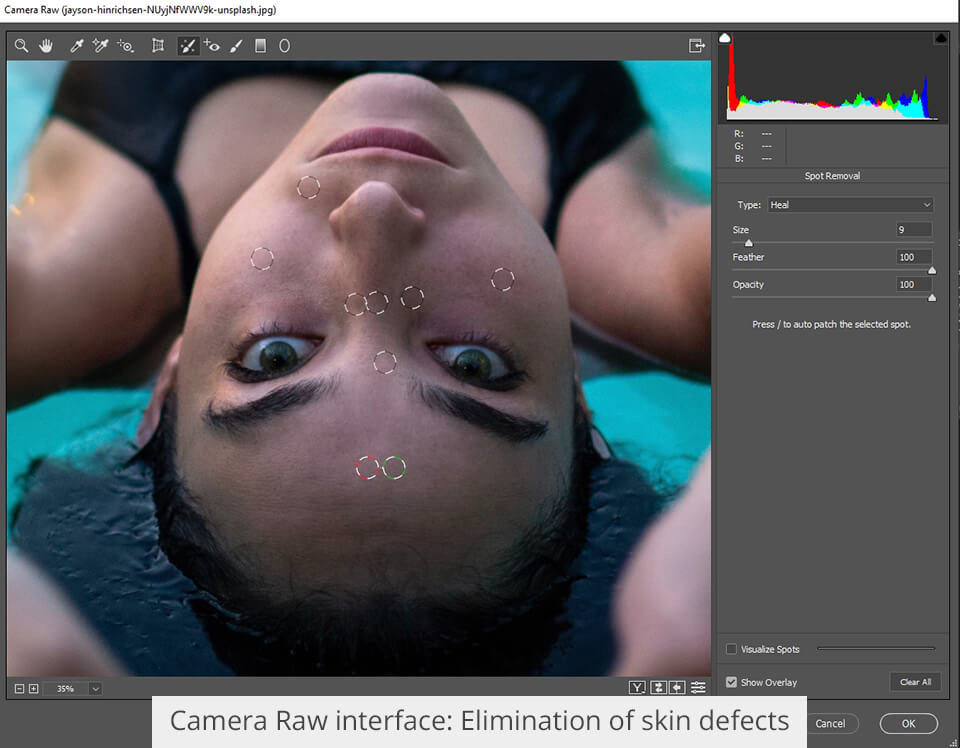 camera raw basic photo editing interface