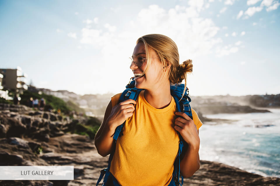 luts for premiere gallery