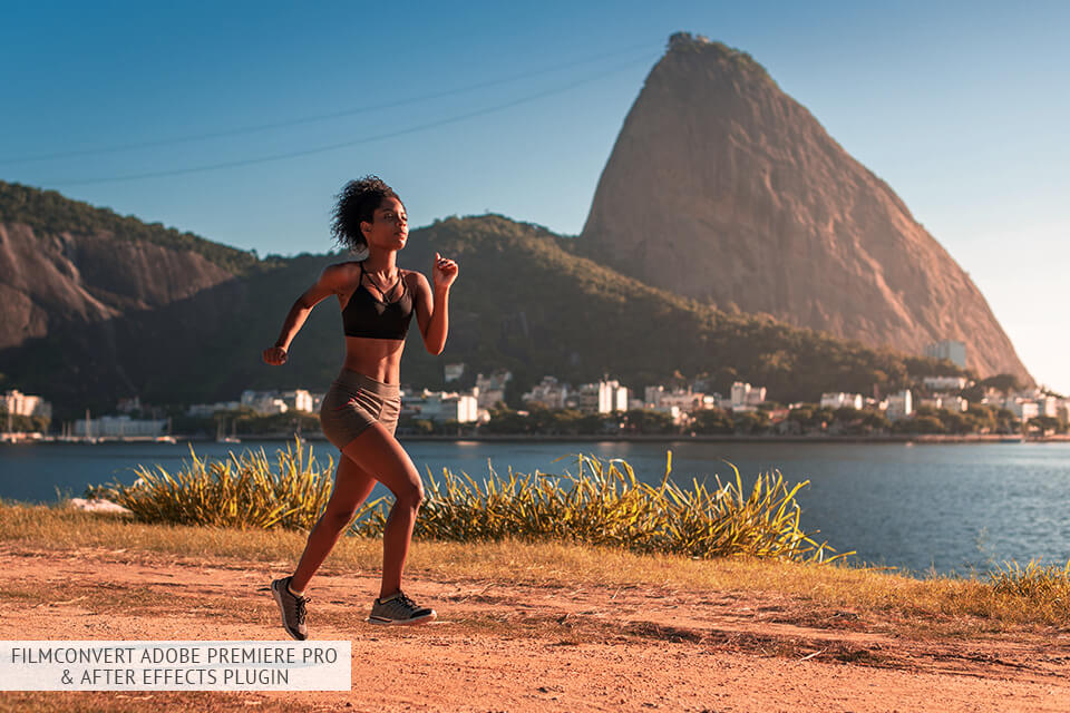 filmconvert adobe premiere pro plugin