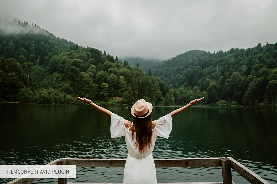 filmconvert camera profiles avid plugin