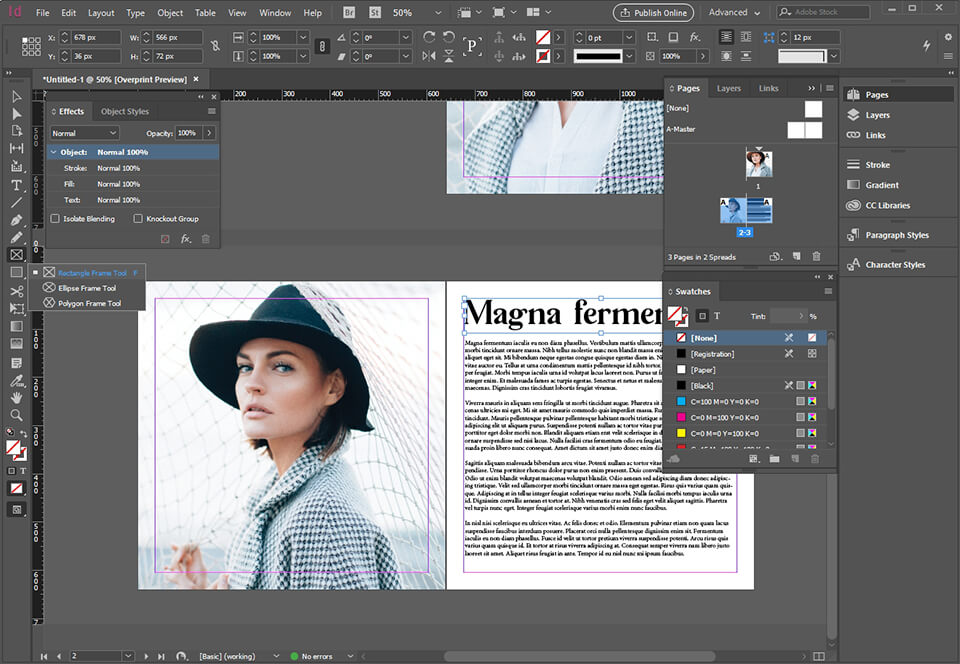indesign editor interfaccia