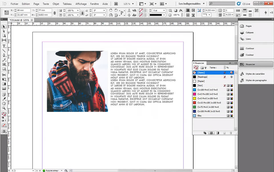 indesign editor interface