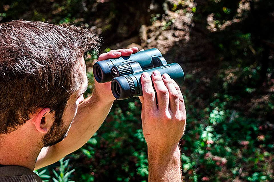 best 10x42 binoculars