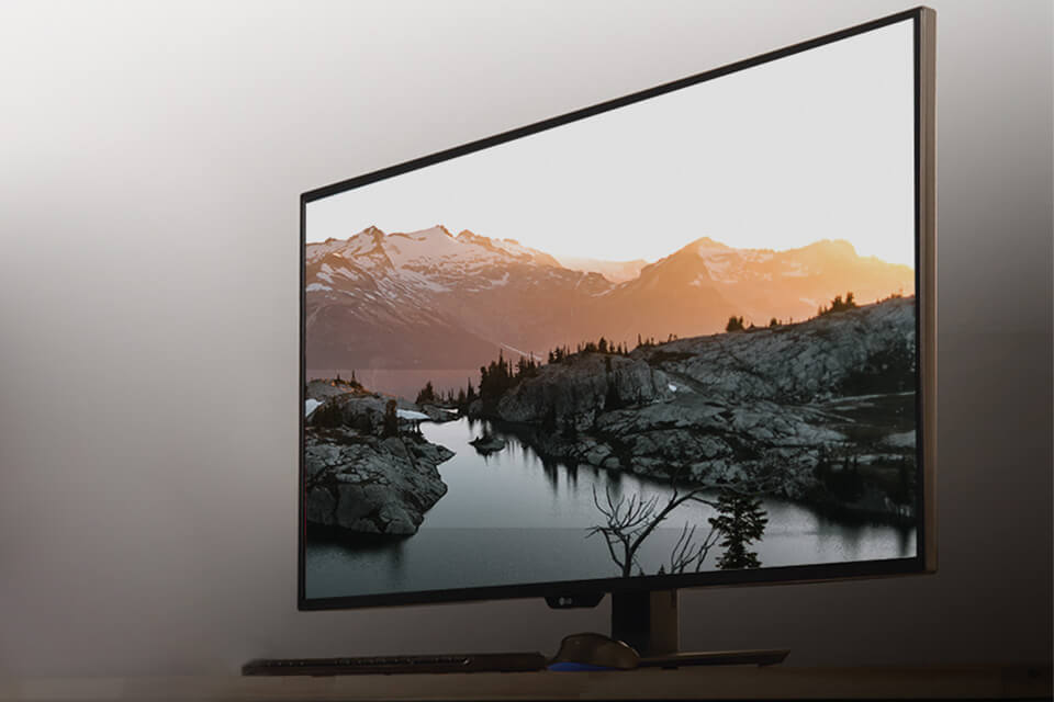 best 43 inch monitors