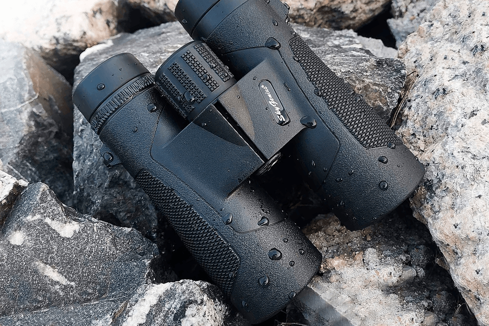 best binoculars for wildlife viewing