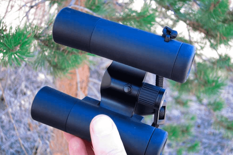 best binoculars for yellowstone