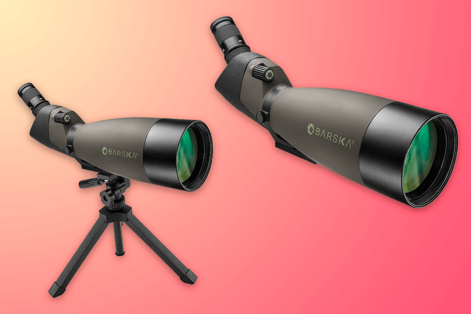 best spotting scope for birding