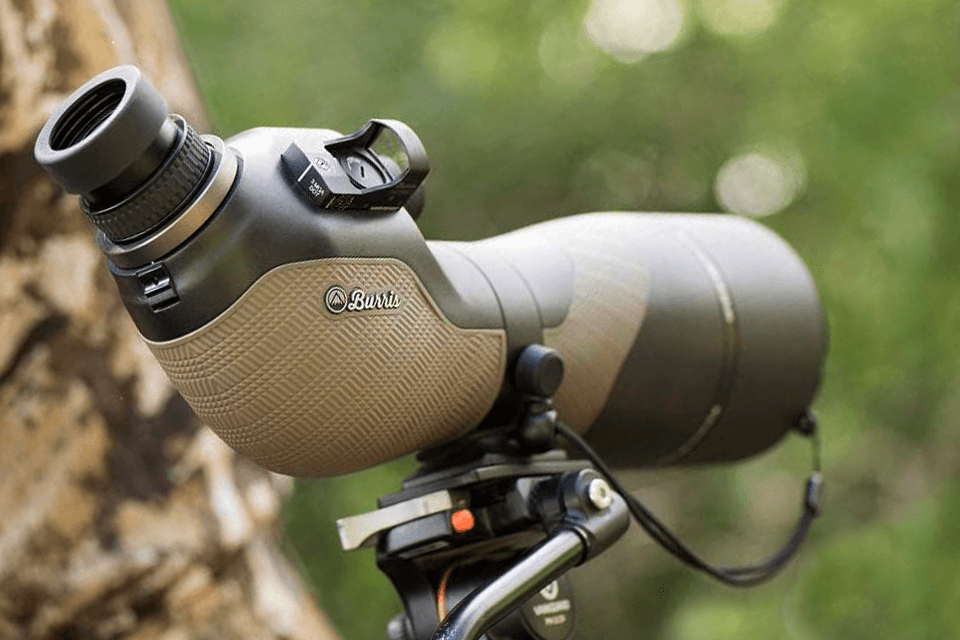 best spotting scope for the money