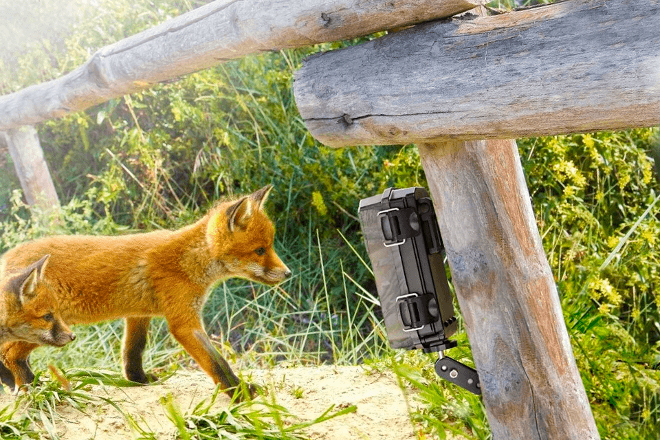 best trail camera