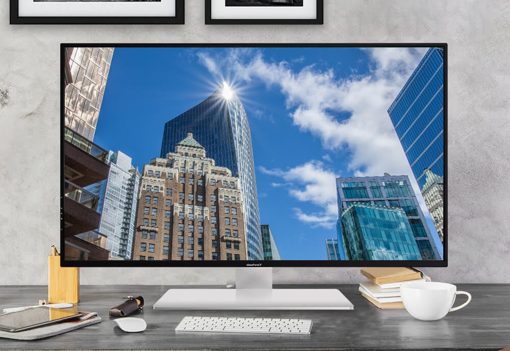 biggest computer monitors