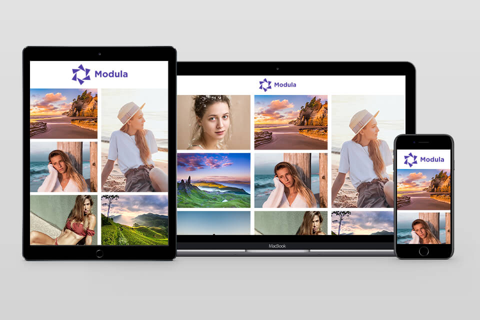 modula wordpress photography theme