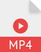 mp4 file logo