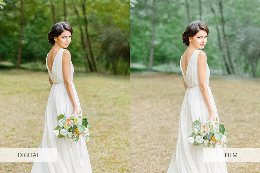 film vs digital comparison