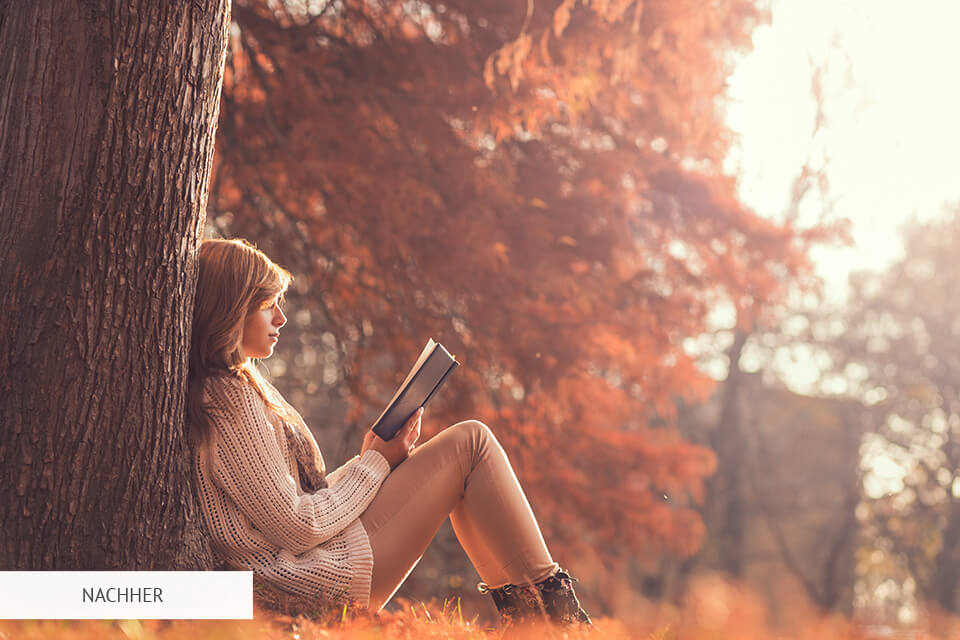 Photoshop Aktion Matte vorher und nachher