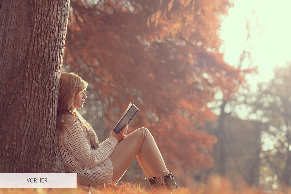 Photoshop Aktion Matte vorher und nachher