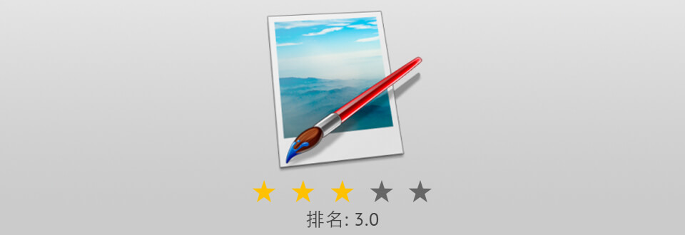 paintnet 商标